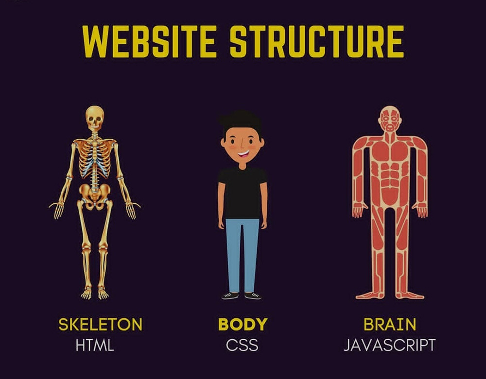 phân biệt HTML CSS JAVASCRIPT