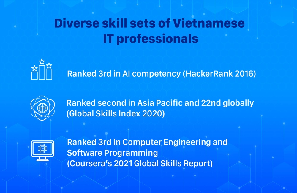 Vietnamese IT Professionals as Multi-Dimensional Assets