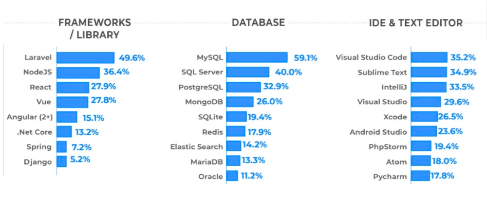 Vietnamese IT Professionals as Multi-Dimensional Assets